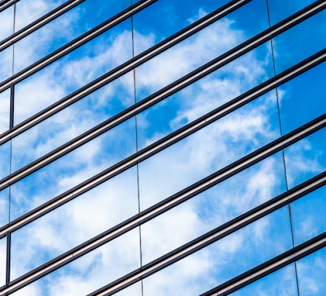 privacy tinted windows