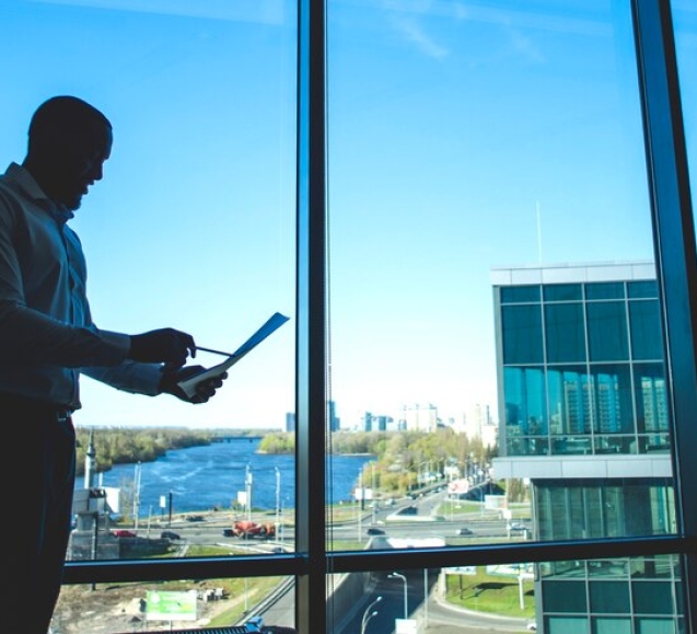 privacy tinted windows